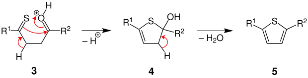 Mechanismus der Thiophen-Synthese (Teil 2)