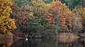 Herbstfarben am See