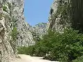 Paklenica-Schlucht, 2005