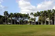 Palm Circle 2006