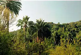 Nationalpark La Campana