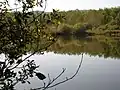 Uferblick