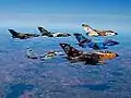 Fünf Panavia Tornado der deutschen Luftwaffe und eine Mikojan-Gurewitsch MiG-29 im Jahr 2003