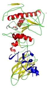 Colipase