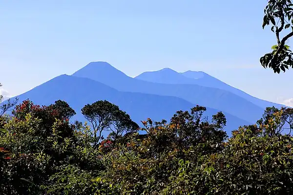Blick von Westen aus dem Nationalpark Gunung Halimun.Im Bereich des Gebirges wurden die Entfernungen durch abgeschwächte Farben verdeutlicht.Am dunkelsten und damit am nächsten liegend sieht man den bogenförmigen nordwestlichen Kraterrand des erloschenen Pangrango (Junghuhn: G. Panggerango). Dahinter, in der Mitte, erhebt sich der Mandalawangi, mit 3019 Meter der höchste Gipfel des Massivs, mit dem südlichen Kraterrand des Pangrango (Junghuhn: G. Sela). Im Hintergrund erkennt man die Rückseite des aktiven Vulkans Gedé mit dem alten Kraterboden Alun Alun.Zum besseren Verständnis dieses Vulkanmassivs wird empfohlen, diese Ansicht mit der Karte „Gede“ zu vergleichen. Den Blick vom Gipfel des Mandalawangi auf den aktiven Krater des Gedé hat Junghuhn in seinem „Java-Album“ dargestellt: Siehe im Kapitel Java, seine Gestalt, Pflanzendecke und innere Bauart die farbig lithographierte Ansicht „Gunung-Gede“.