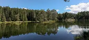 Panorama