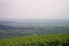 Ilassi im Valpolicella