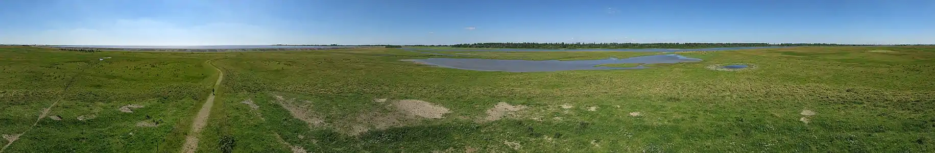 Panoramaaufnahme vom Beobachtungsturm auf den Eiderdammflächen am Rande des Naturinformationsareals, nahe der L305 nördlich des Eidersperrwerks.
