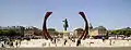 Installation 2011,Place d’Armes, Versailles