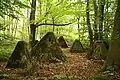 "Drachenzähne" bzw. "Höckerlinie" einer Panzersperre am Orscholzriegel (Westwall).