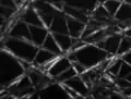 Polarisationsmikroskopie, Kontrast wird durch Rotation polarisierten Lichts in der Probe erzeugt.