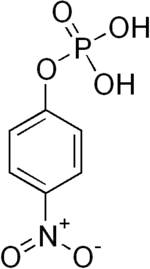 Strukturformel von pNPP