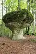 Der Parasol im Wald östlich des Paradiestals