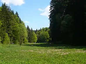 Das Paradiestal im Mai 2008