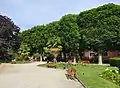 Parkimpression mit verschiedenen Vegetationsräumen