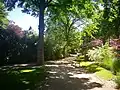 Parkimpression mit Wegführung