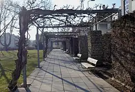Pergola (2022)