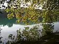 Ein Baum, der sich im See spiegelt
