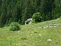 Infanteriebunker Pardenn Alp A 7731