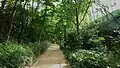 Abschnitt der „Promenade Plantée“