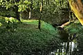 Schlosspark in Kaźmierzów