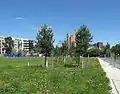 Wiese im Nordteil des Westparks mit Blick auf den Potsdamer Platz