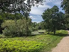 Park an der Reuthenkoppel