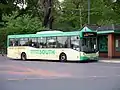 MAN 10.240(langer Radstand)