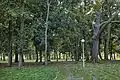 Park in Naramice