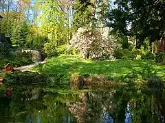 Farbfotografie eines Ufers mit einer kleinen Wiese und vielen Bäumen und Büschen. Links geht ein Weg zu einer Treppe, die zu einem abgeschnittenen Gebäudeteil führt. Links am Ufer steht ein Vogelhäuschen.