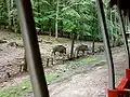 Blick aus der fahrenden Parkeisenbahn