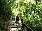 Nationalpark Guatopo