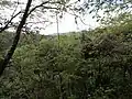 Selva Premontano im unteren Teil des Parks