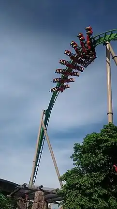 Parrot Coaster