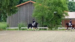 spiegelbildliches Element