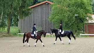 spiegelbildliches Element