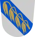 Pattijoki