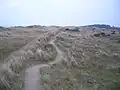 bei Holme-next-the-Sea