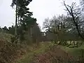 Knettishall Heath