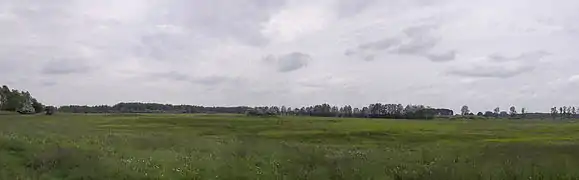 Peenewiesen bei Trantow