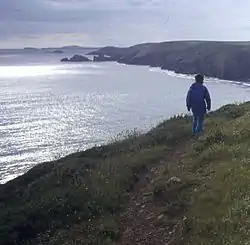 Weg zwischen New Gale und Solva