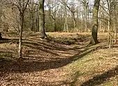 Blick vom Hohlweg nach Westen Richtung Verzweigung; 2021 entdeckt.