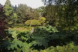 Sumpfgarten auf der untersten Ebene des Walled Gardens