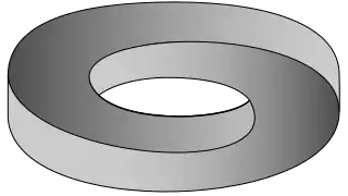Penrose-Torus