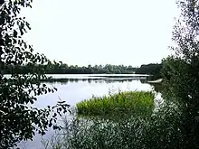 Nordufer des Sees