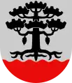 Wappen von Petäjävesi