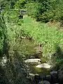 Petersbach Mittellauf auf Höhe Petersbachstraße