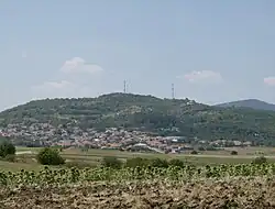Petrota