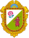 Wappen von Petrykiwka