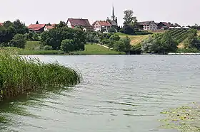 Blick über den Pfäffikerseeund das Robenhausener Ried auf Seegräben